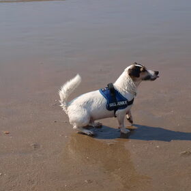 En aan het dagje strand kwam een einde.. Dit vond Melo ervan..