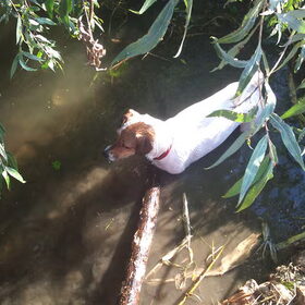 fief in het water met de groooote stok!