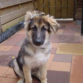 Ben ik niet schattig (3 maandjes)?