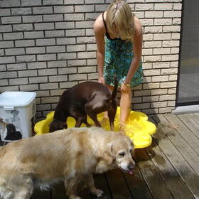 sandyke, mis u schat!!