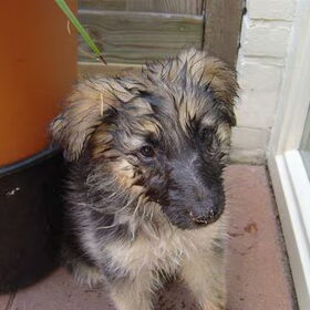 Als puppy was ik al gek op water...en nog steeds hoor!