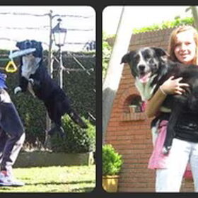 Hondenfoto van -Iris & Tommy-