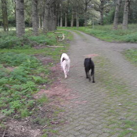 Lobs en Mira op een van onze favoriete wandel plekken