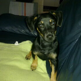 4 mnd alweer. Scheetje!!!