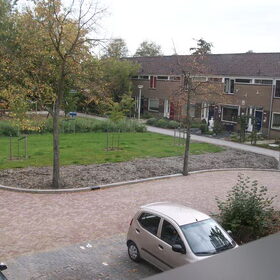 Hondenfoto van Claudia & Tank