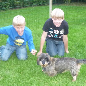 Hondenfoto van Greetje & Odie