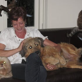 Hondenfoto van liesbeth,Turbo,Luna, Levi en Faith