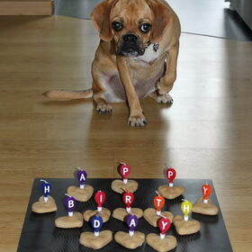 12-09-2011 (1jaar)
