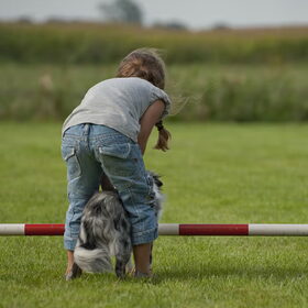Terukomdag Mini en Toy Aussie's