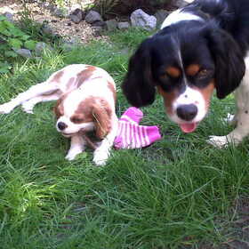 arko en femke