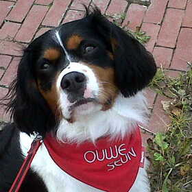 ouwe seun!!