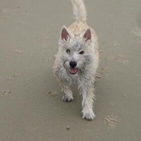 Little Monkey @ the beach
