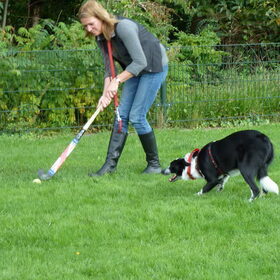 Hondenfoto van Claire & Tess & Bonny