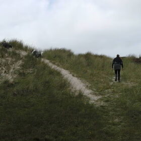 Andere route