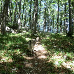 Kroatie, Nationaal park Velebit.