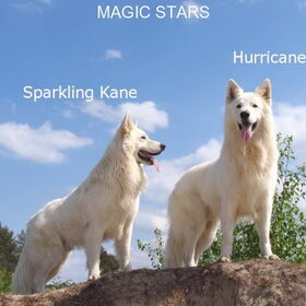 Beau en Kane