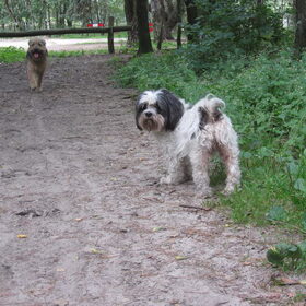 Turbo blijft me maar in de gaten houden.