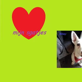 Hondenfoto van kimberley,Mikey&Diva