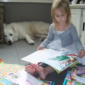 Hondenfoto van Chocomelk van Jessy & Storm en ***Blondie & Tara***