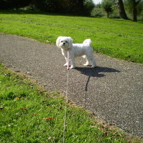24-09-2011 CHICKA