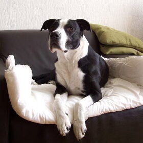 Moet je me nu wakker maken met de camera!! ; - )