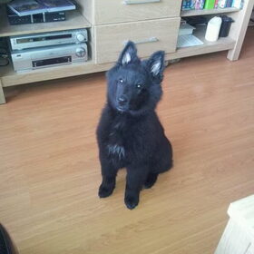 Knap zitten!!