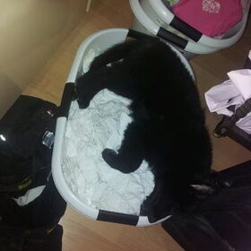 Net de was uit de droger gehaald, even neergezet om strijkplank…