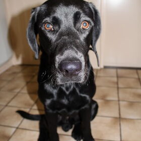 Lieve Max