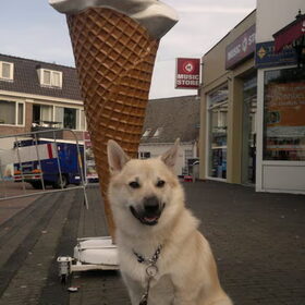 vandaag gingen we naar de markt, tjonge wat een mensen maar vond…