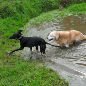 en samen weer uit het poeltje