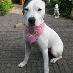 stoere Lady