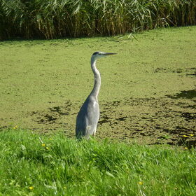 28-09-2011 Ik sta op wacht