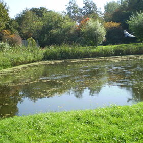 28-09-2011 En toen vloog de reiger weg
