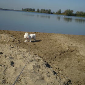 28-09-2011 Chicka
