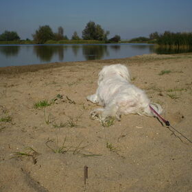 28-09-2011 CHICKA LIGT EVEN UIT TE RUSTEN