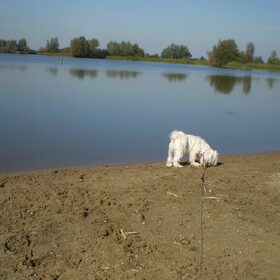 28-09-2011 CHICKA, SNUFFEL DE SNUFFEL