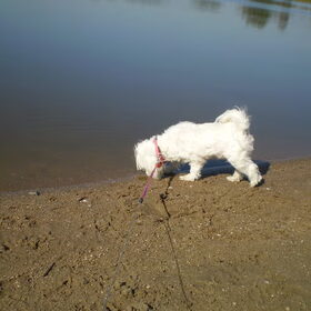 28-09-2011 CHICKA BIJ HET WATER