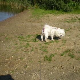 28-09-2011 VROUWTJE IK BENNNNNNN NAT