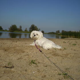 28-09-2011 PSSTTTT VROUWTJE KIJK IS HOE LEKKER IK LIG