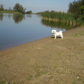 28-09-2011 MOOIE CHICKA, M,N LIEF