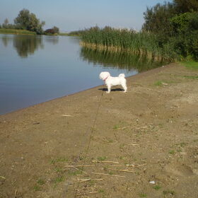 28-09-2011 CHICKA OP DE UITKIJK, ZE WIL HET WATER IN, MAAR ZE…