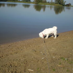 28-09-2011 CHICKA BIJ HET WATER