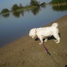 28-09-2011 CHICKA ZIE IK DAAR WAT
