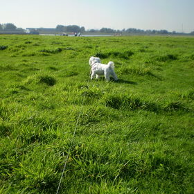 28-09-2011 Chicka bij de waterweg, ook hier kon ze helaas niet…
