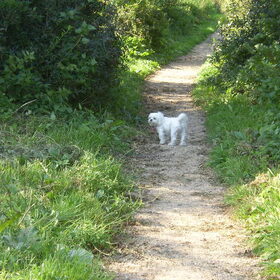 29-09-2011 CHICKA IN HET BOS, HET WAS WEL ERG WARM