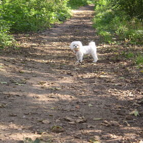 30-09-2011 Halloooo vrouwtje, kom je nog