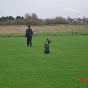 de zit oefening