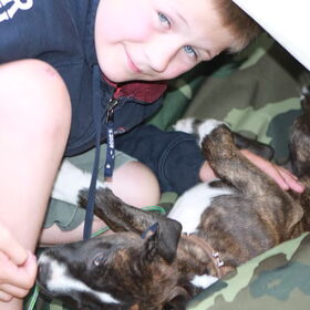Hondenfoto van Jimmy -Anneke - doggy's: Zoë en Angie