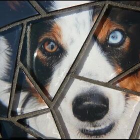Close Up..