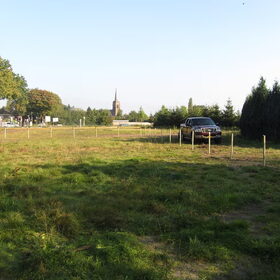 Hondenfoto van liesbeth,Turbo,Luna, Levi en Faith